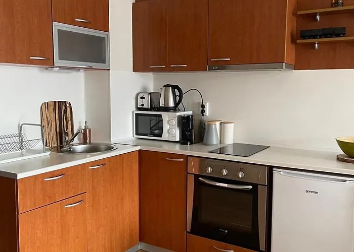 Апартаменты The New *